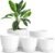 Plant Pots Indoor with Drainage, 5 Pack Multi-Size Planters Set, White