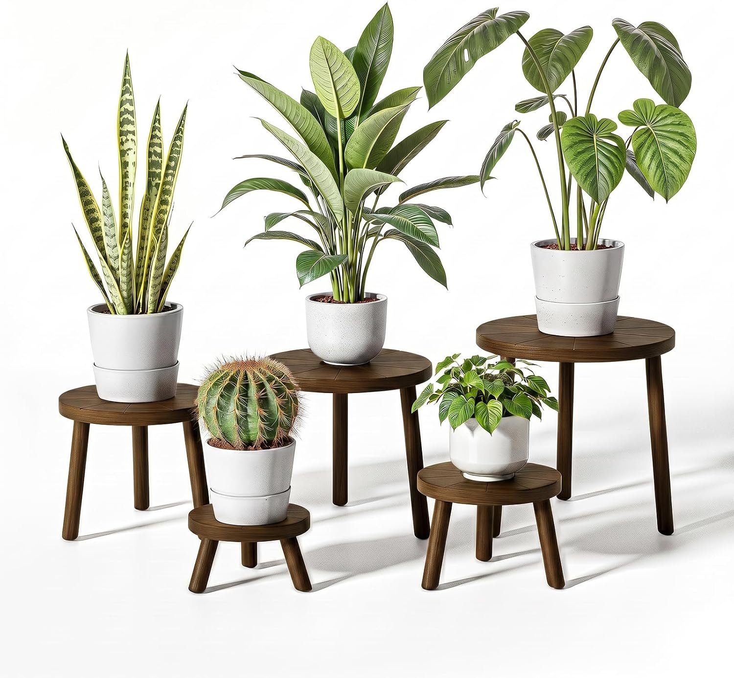 Delma Wood Plant Stands 5-Pack Indoor, Plant Stool, Dark Brown
