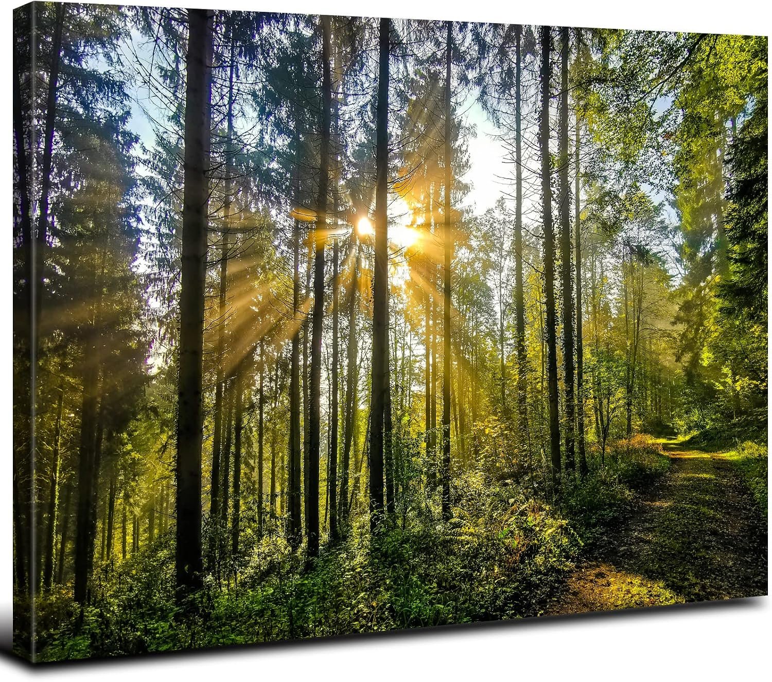 Sunrise Forest Canvas Wall Art for Living Room Nature Landscape Pictures Wall Decor Sunset Woods Mountain Painting Sunset Trees Trail Scenery Photo Prints Poster Artwork Bathroom Decorations 12×16”