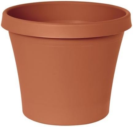 Bloem Terrapot 5.5 in. H x 6 in. Dia. Resin Traditional Terracotta Clay Planter