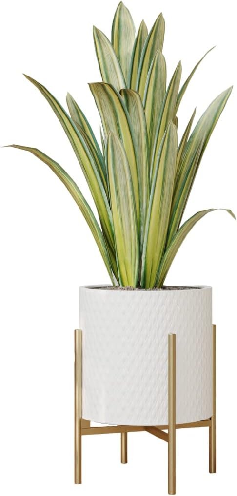 EverNest Claire Mid-Century Modern White Planter and Stand, Indoor Plant Pot, SelectBase, Minimalist Aesthetic, Home Decor for Plants – (Gold Base, Small)