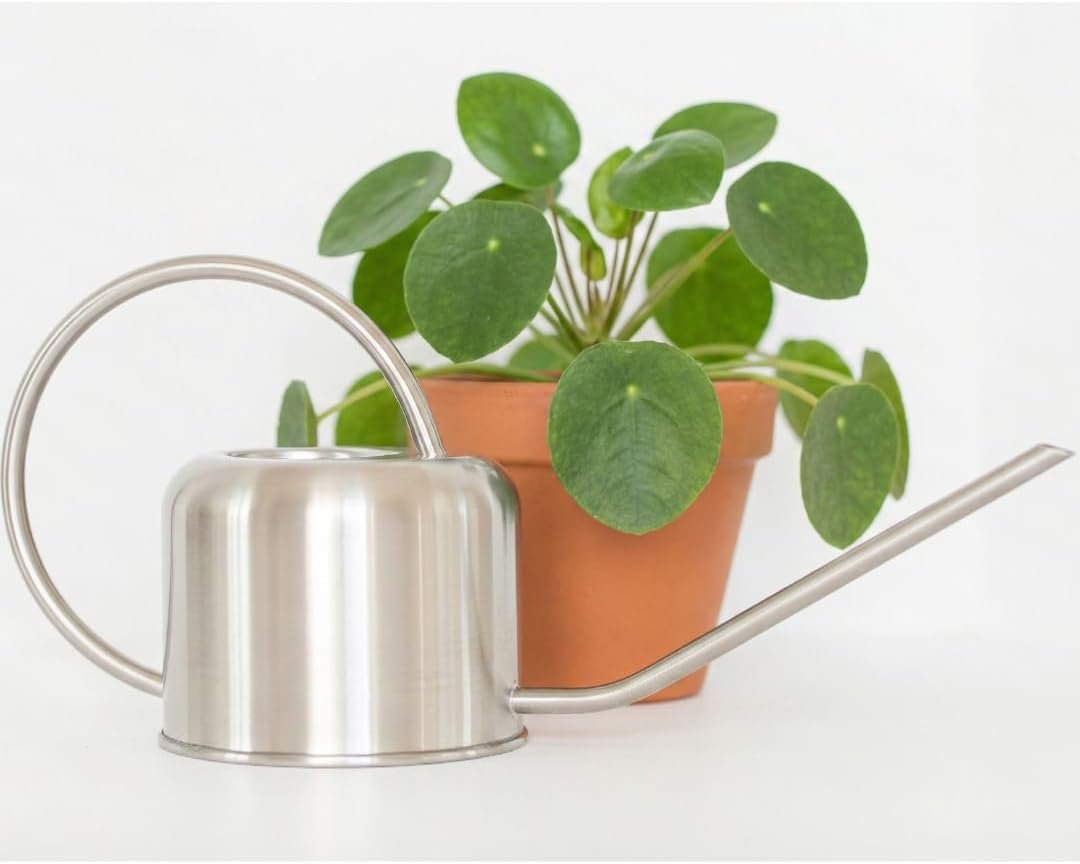 Stainless Steel Houseplant Watering Can, Brushed Silver, 1L Capacity