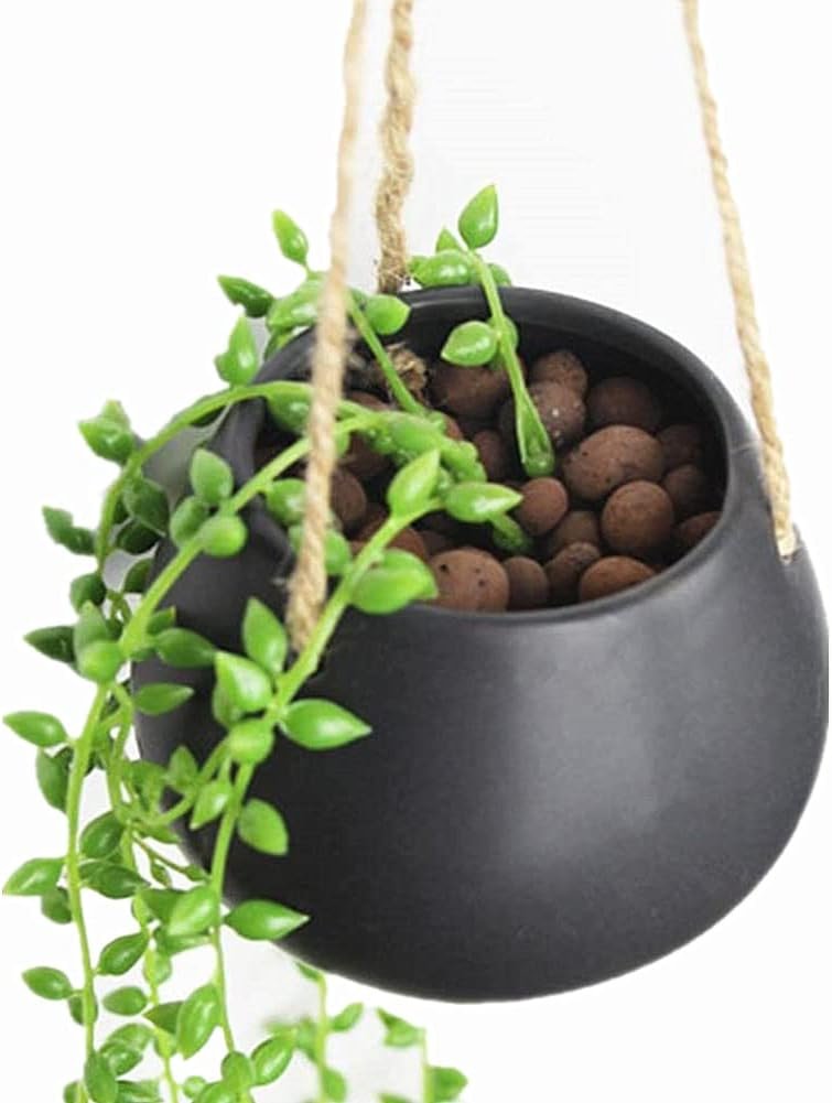 Moyishi Mini Decorative Ceramic Hanging Planter Flower Pot Water Planter Plant Vase (Black)