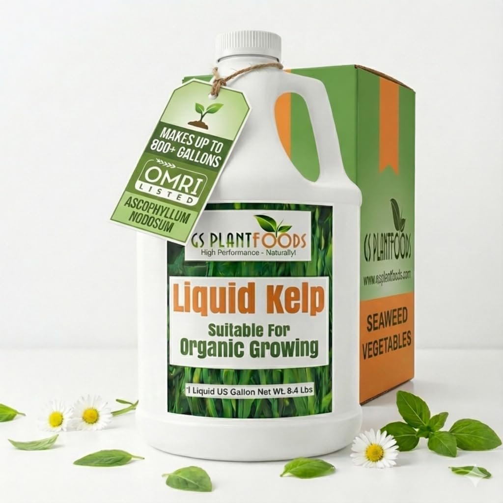 GS Plant Foods Liquid Kelp Fertilizer – Suitable for Organic Growing, OMRI Listed Seaweed Concentrate for Lawns, Gardens & Soil – 1 Gallon (Makes Up To 800+ Gallons)