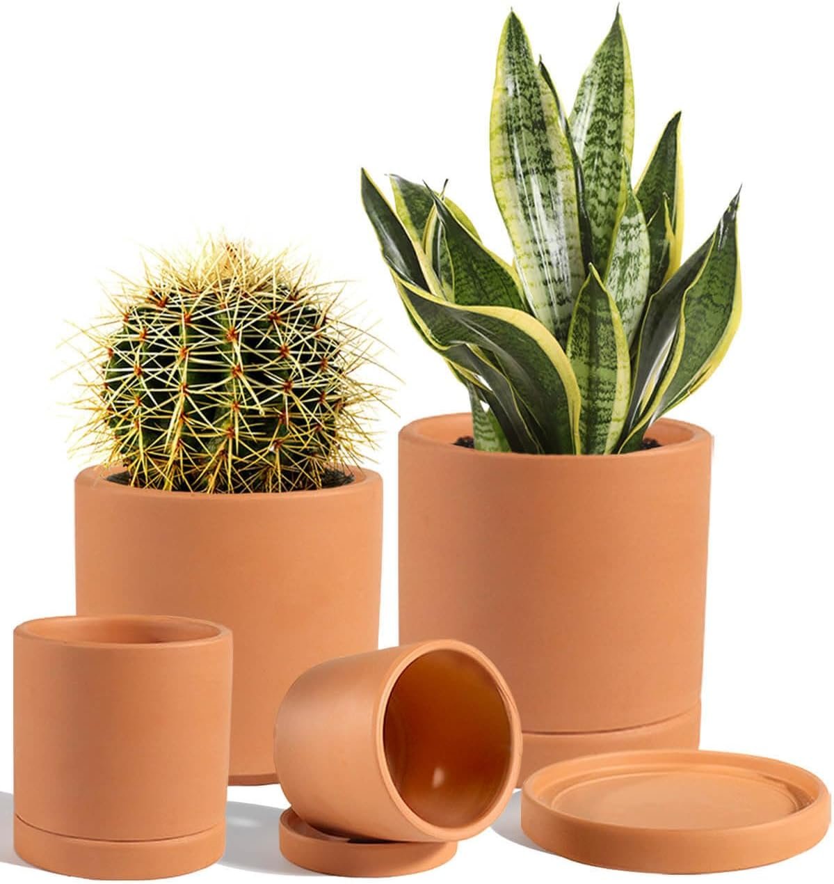 Terracotta Pots with Drainage and Saucers, 3.5/4.2/5.2/6 Inch Clay Planters