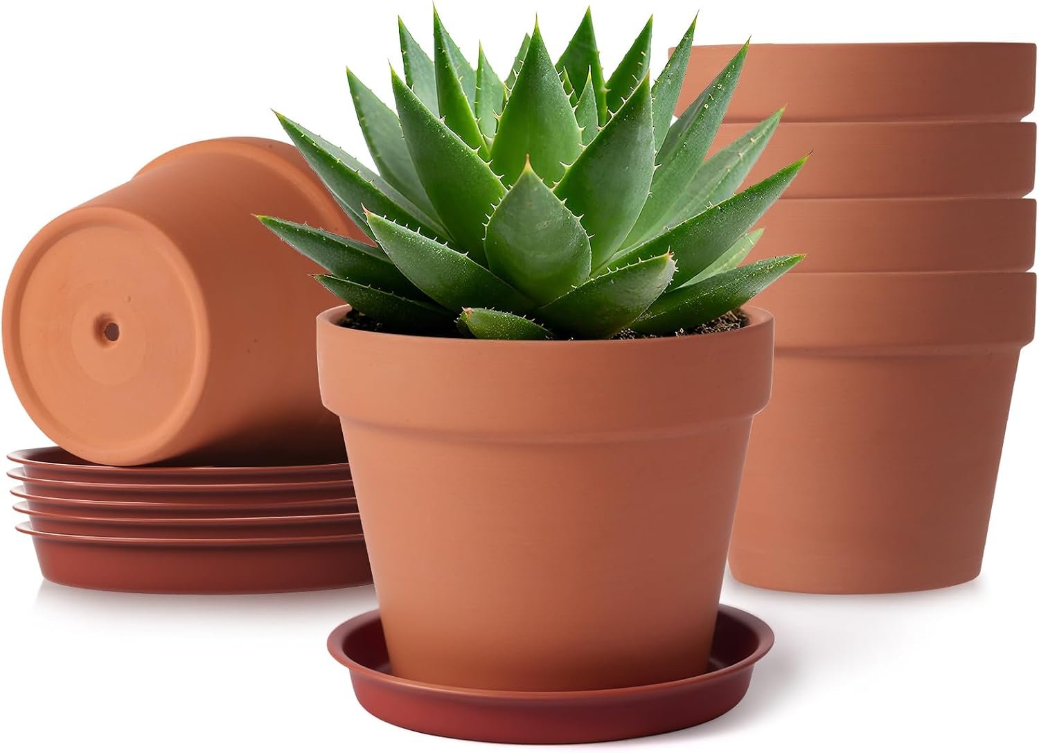 KOAMLY 6 PCS Clay pots and Plates, 5-inch red Clay pots with Drainage, Perfect for Indoor, windowsill, and Garden Plants