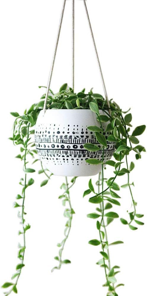 KiaoTime Ceramic Hanging Planter for Indoor Outdoor, Decorative Boho Flower Green Grass Plant Succulent Air Plants Hanging Plant Pots Holder