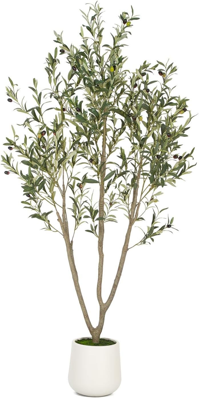 VIVATREES Olive Trees Artificial Indoor, 6FT Tall Faux Olive Tree with White Tall Planter, Artificial Plants with Natural Wood Trunk and Lifelike Fruits for Home Office Decor