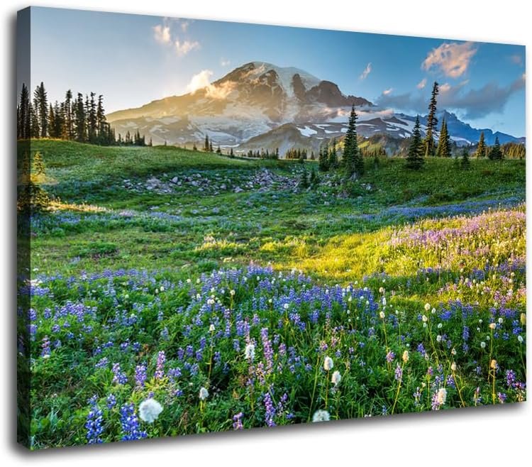 VVJSZHJ Mount Rainier National Park at Sunrise Wall Art Modern Bedroom Bathroom Decor Nature Scenery Landscape Artwork (Mount Rainier, 12×16 inch, Wrapped Canvas)