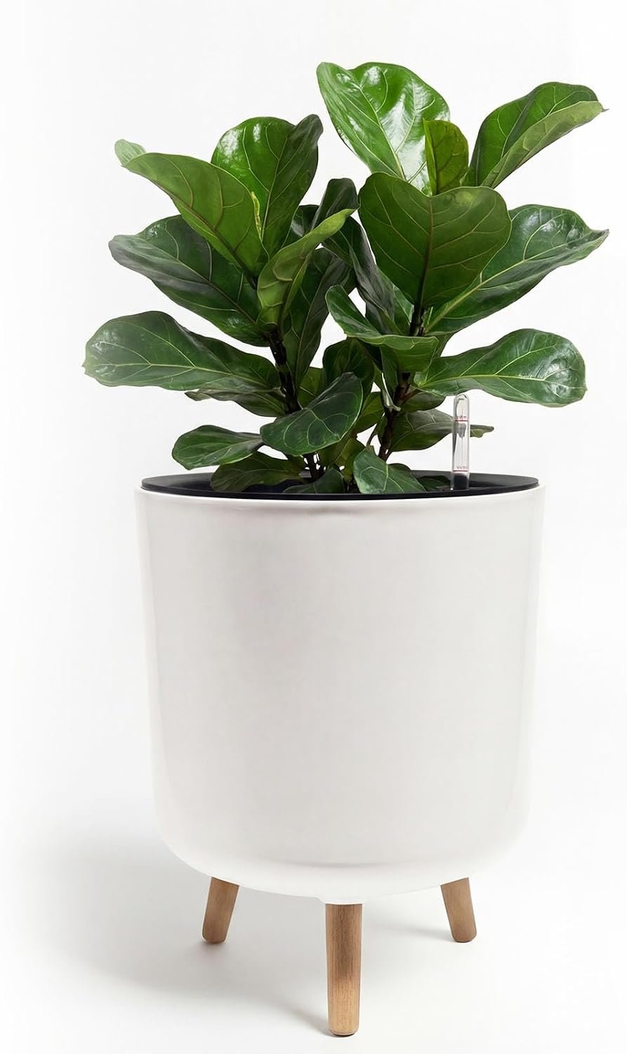 Bamworld Self Watering Pots for Indoor Plants with Water Level Indicator