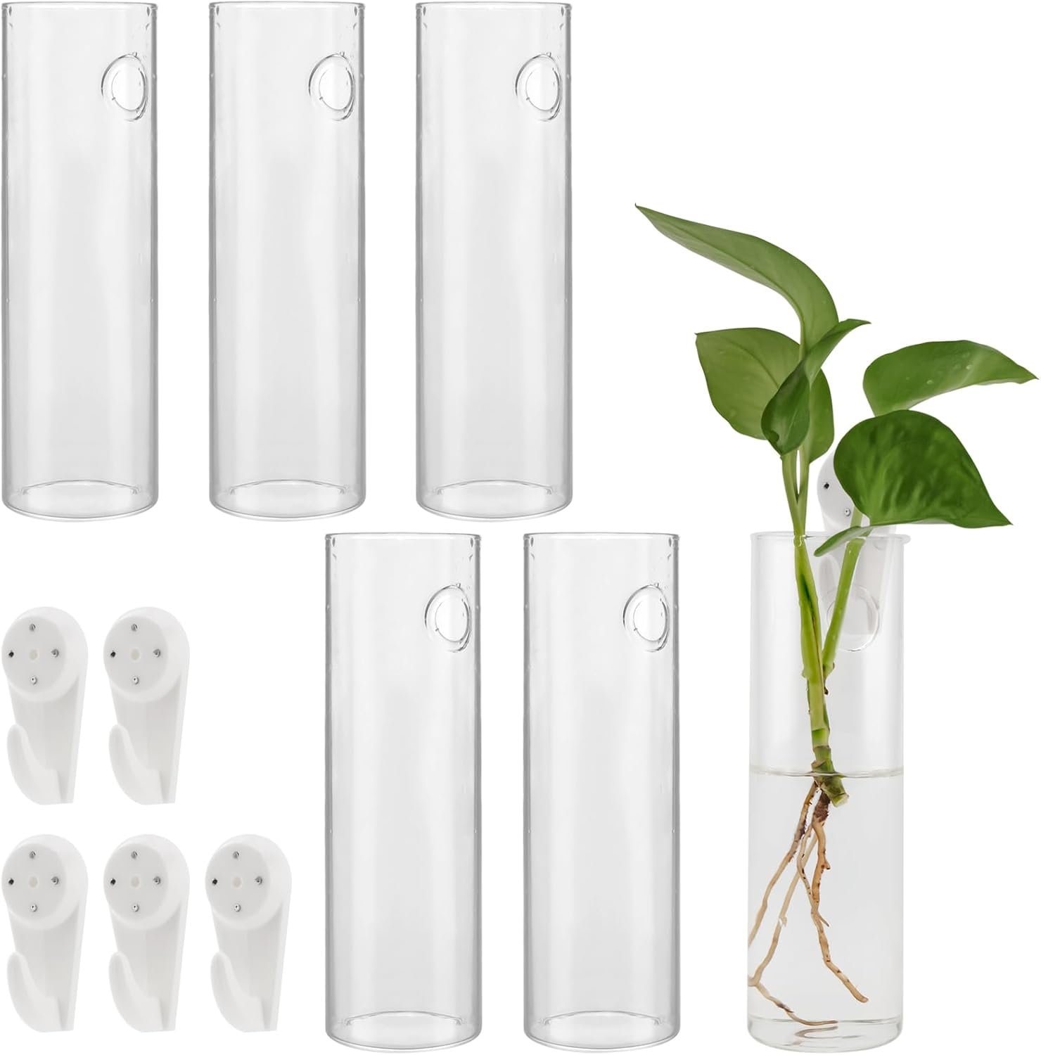 JEUIHAU 6 PCS Glass Wall Mounted Planters, Wall Glass Tube Plant Holder, Plant Propagation Containers for Hydroponics Plants, Garden Decor