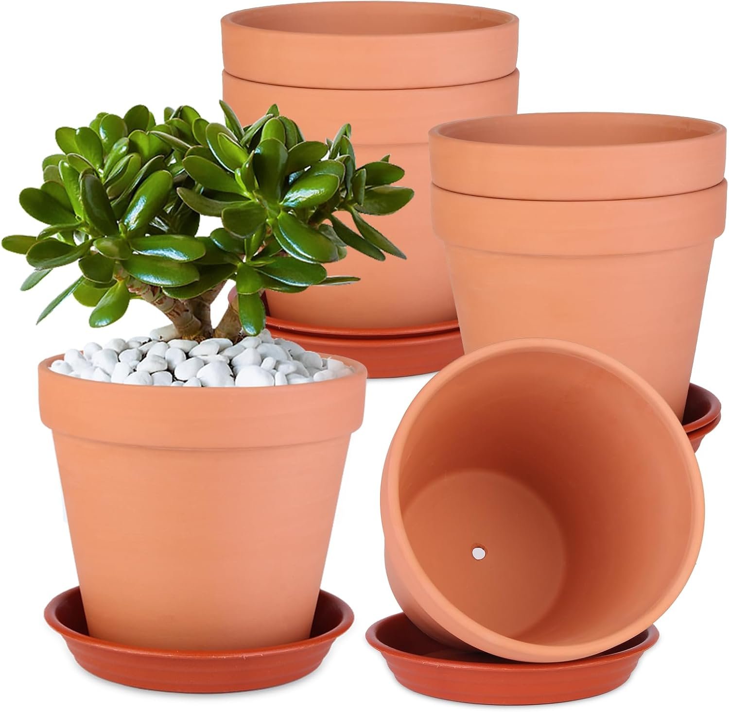 6 Pack 6 Inch Terracotta & Clay Pots with Plastic Saucer for Plants