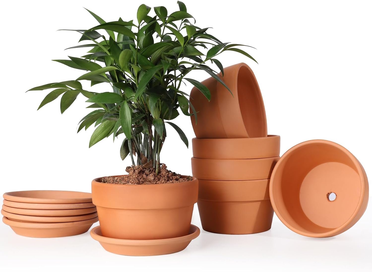 INGOFIN 5 Inch Terracotta Shallow Pots Set with Saucer – Ceramic Clay Pots with Drainage Hole, Terra Cotta for Plants for Indoor Outdoor Plants, Set of 6