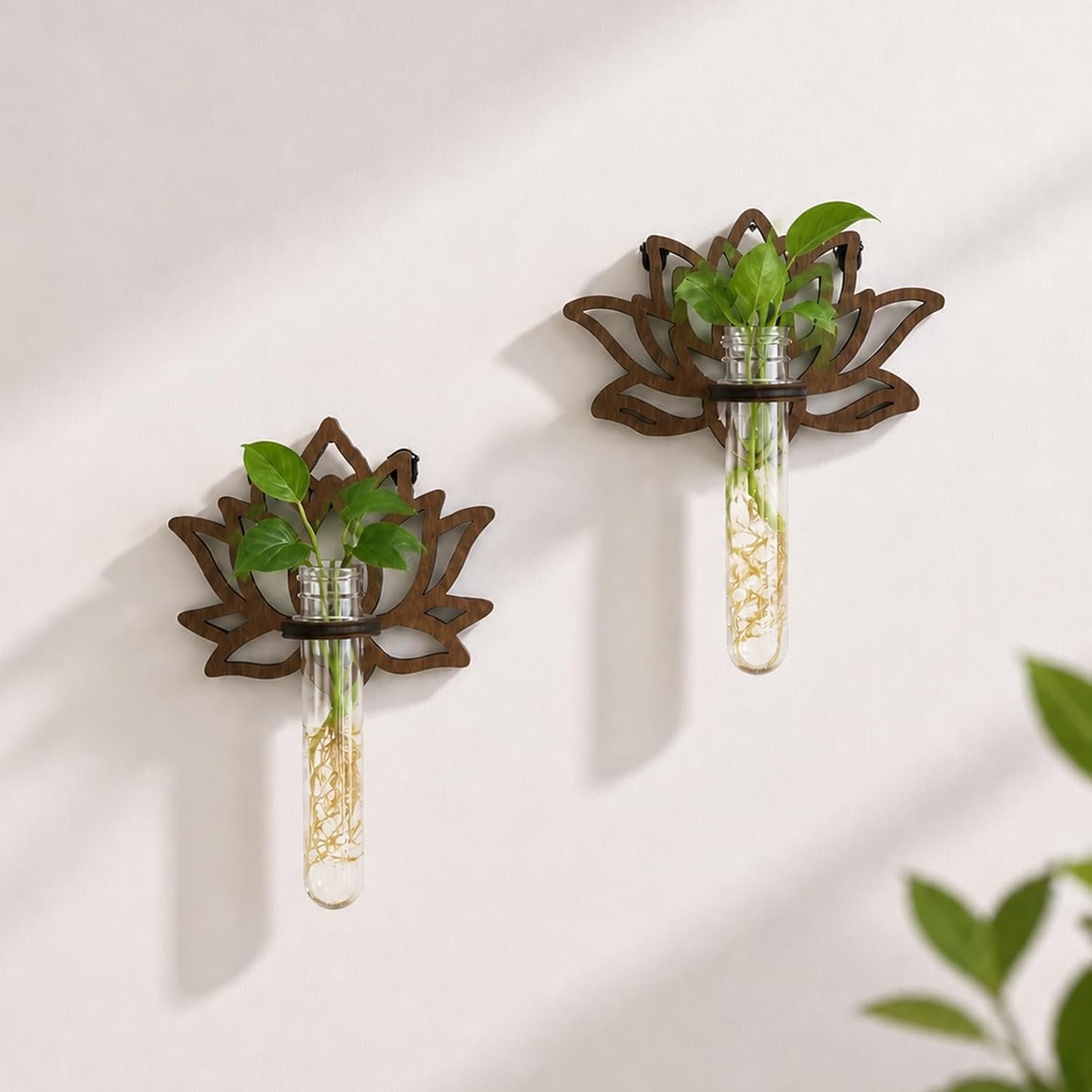Artilady Plant Propagation Station Wall Hanging, Planter Terrariums Tube