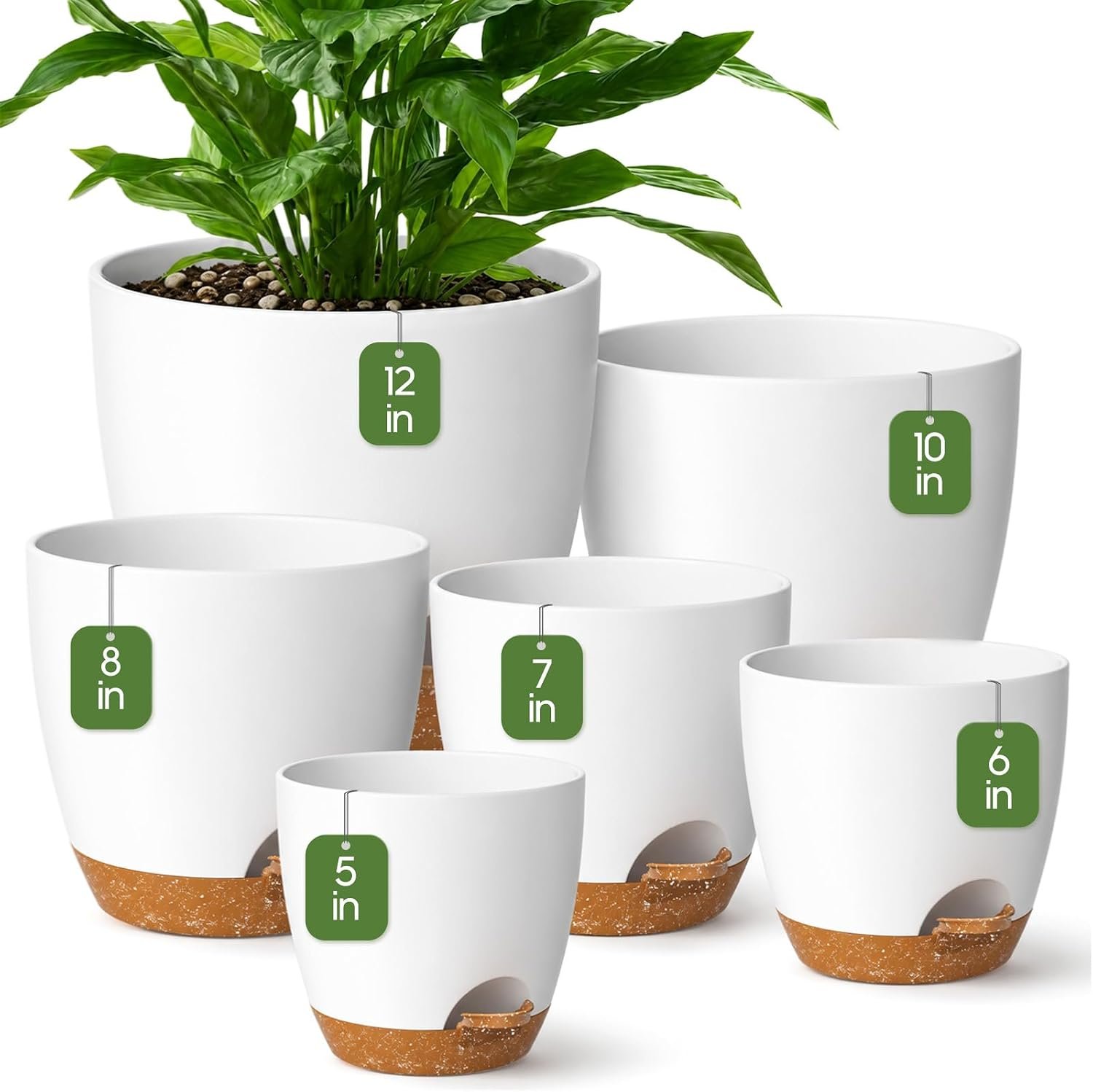 6 Size Self Watering Pots for Indoor Plants, Flower Plant Pot, White