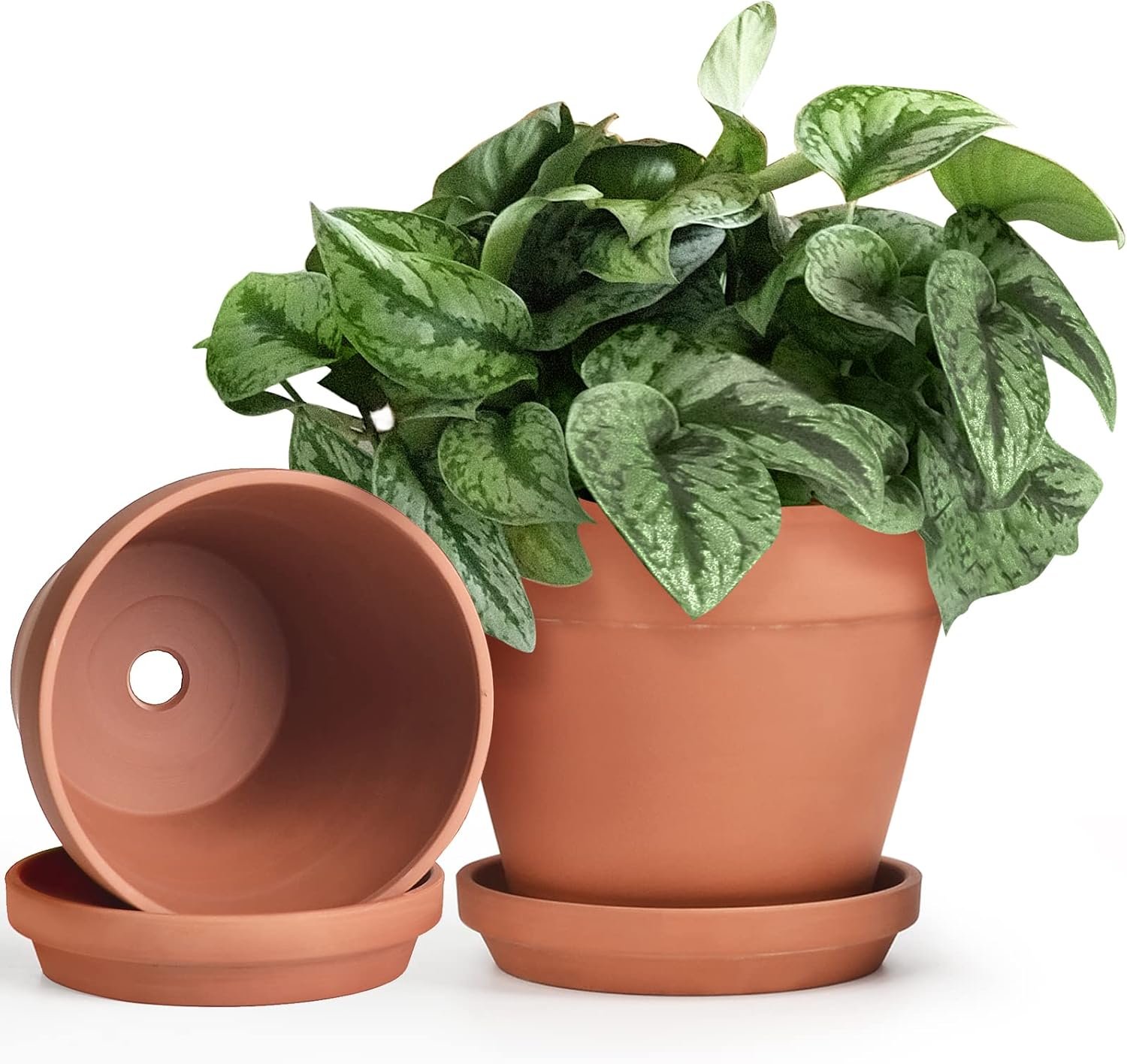 INGOFIN Terracotta Pots Set with Saucer – 2-Pack Ceramic Clay Planters with Drainage Hole, Garden Flower Succulent Pots with Tray for Indoor Outdoor Plants, 8 inch, Set of 2