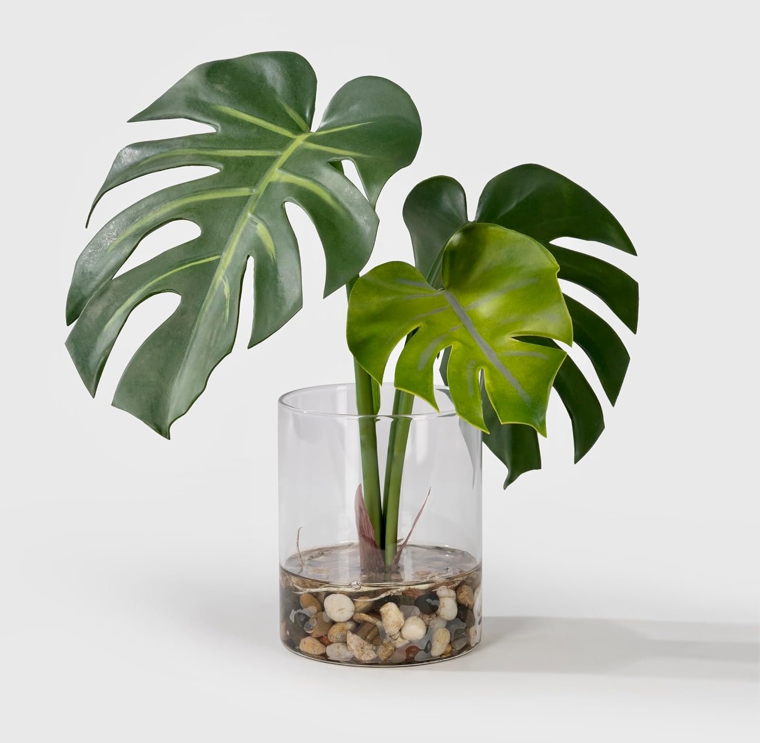 SUNPRAIRIE Realistic Artificial Plant in Clear Pot with Artificial Water, Broad Monstera Leaves. Faux Plants Indoor and Outdoor.