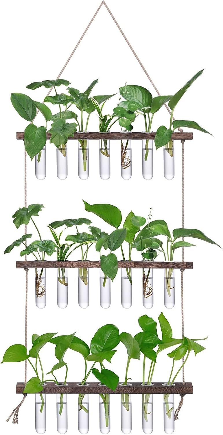 XXXFLOWER Wall Hanging Propagation Station with Wooden Stand
