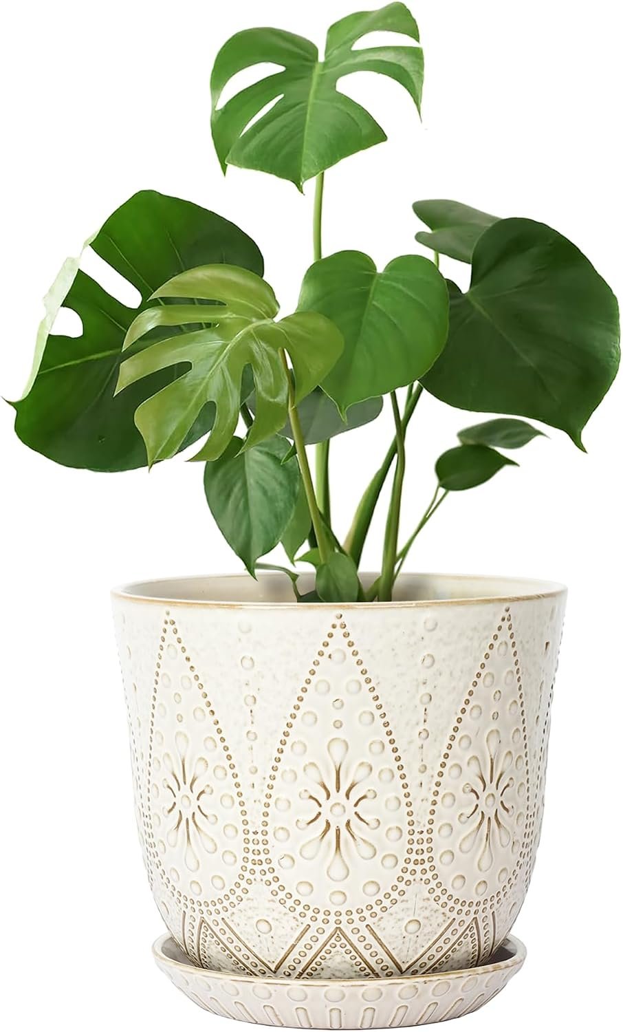 Gepege 10 Inch Ceramic Plant Pot for Indoor Plants with Drainage & Saucer