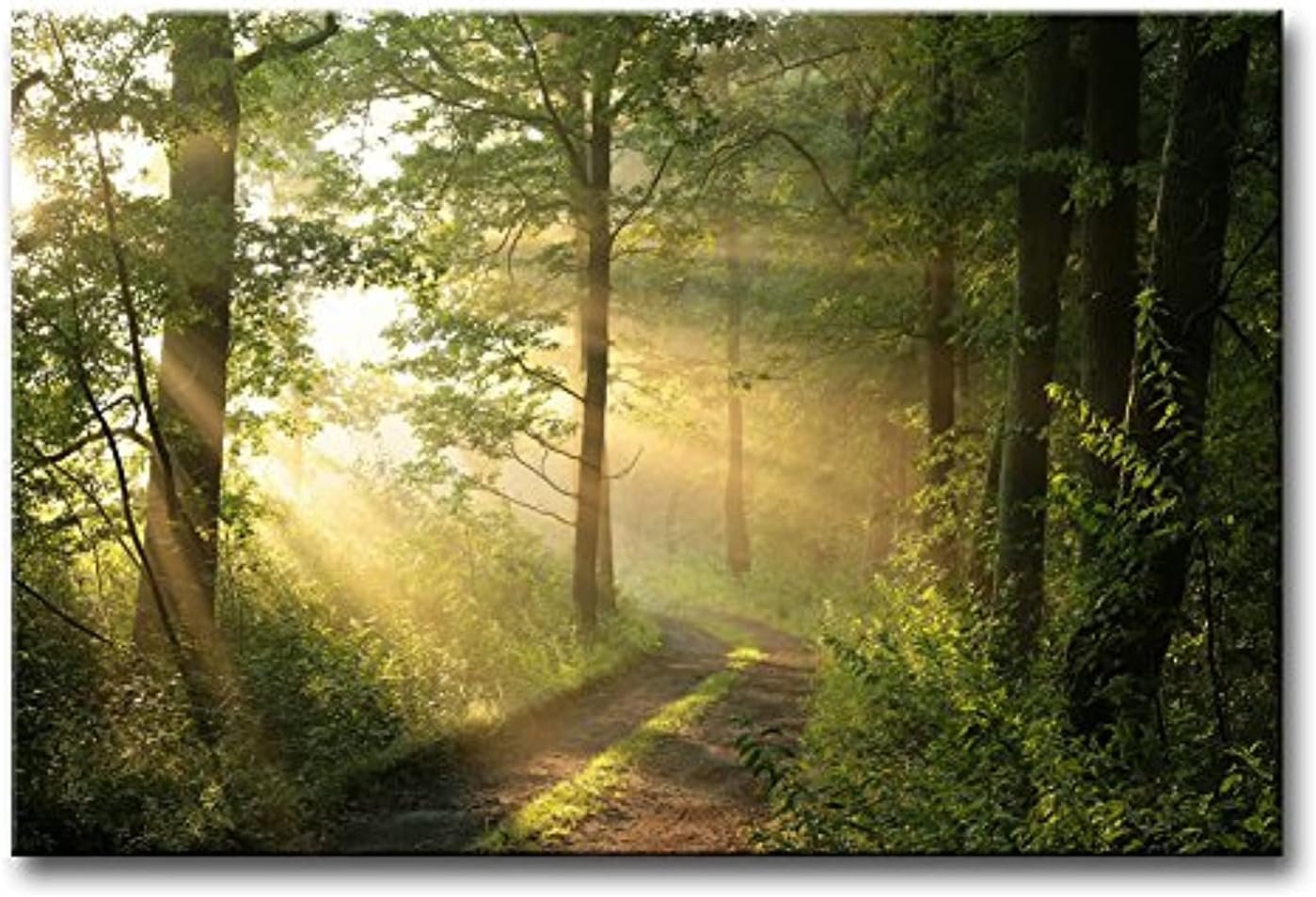 Forest Wall Art Nature Modern Canvas Painting The Picture for Home Decoration Foggy Morning Spring Landscape Print On Canvas Giclee Artwork for Wall Decor