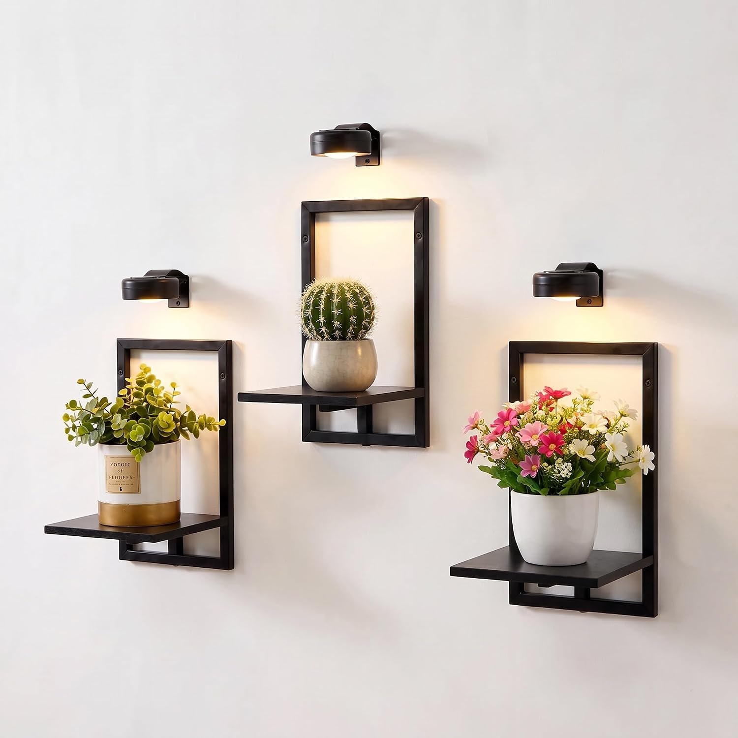 Wall Plant Holder with Grow Lights, Picture Frame Plant Shelves