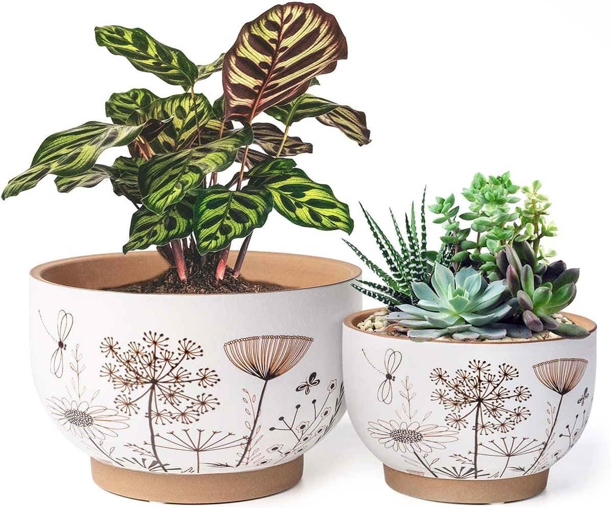 Terracotta Pots, 8+6 Inch Plant Pots, 2 Pcs with Drainage Holes