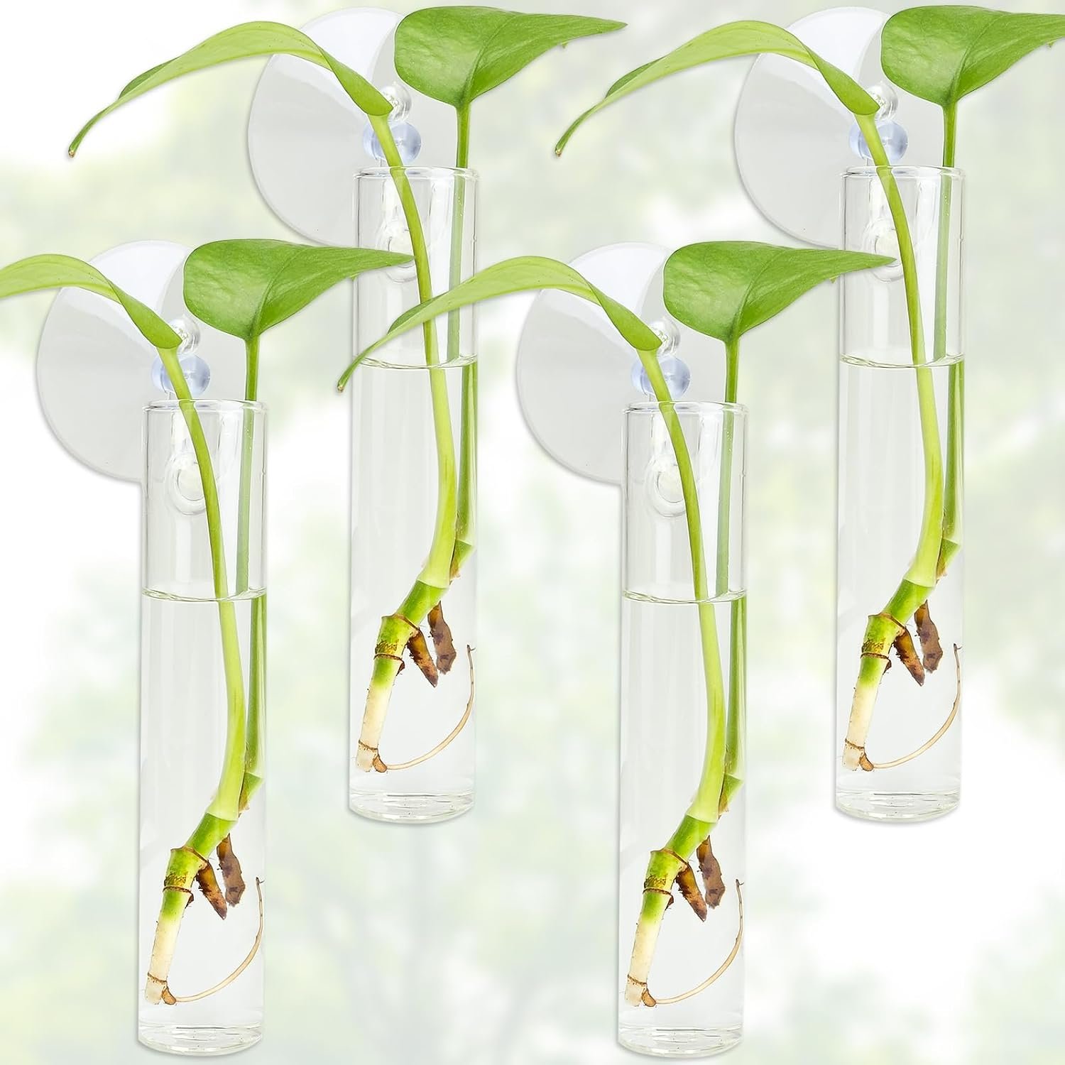 4PCS Wall Hanging Planter Propagation Stations, Plant Tube with Suction Cup Hook, Test Tube Propagation Station Wall Clear Plant Vase No Nails with Bottle Brush Flower Plant Terrarium