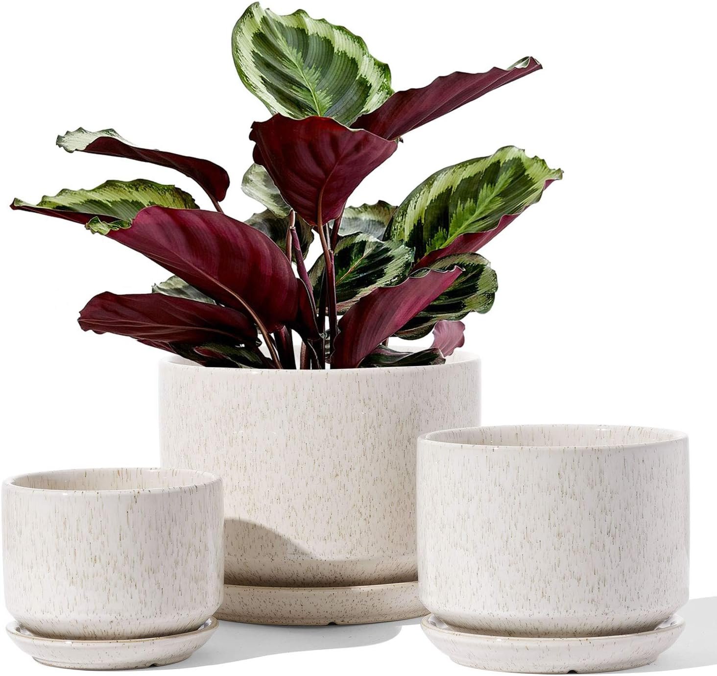 LE TAUCI Ceramic Pots for Plants, 4.3+5.3+6.8 Inch, Set of 3, Glazed Beige