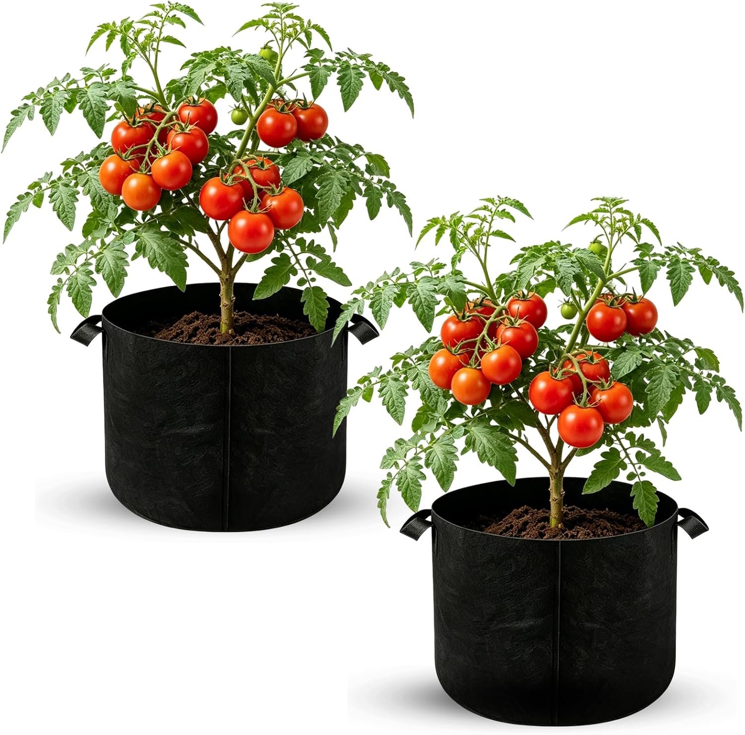 Plant Grow Bags 10 Gallon 2 Pcs, Fabric Pots & Planter Bags for Vegetables