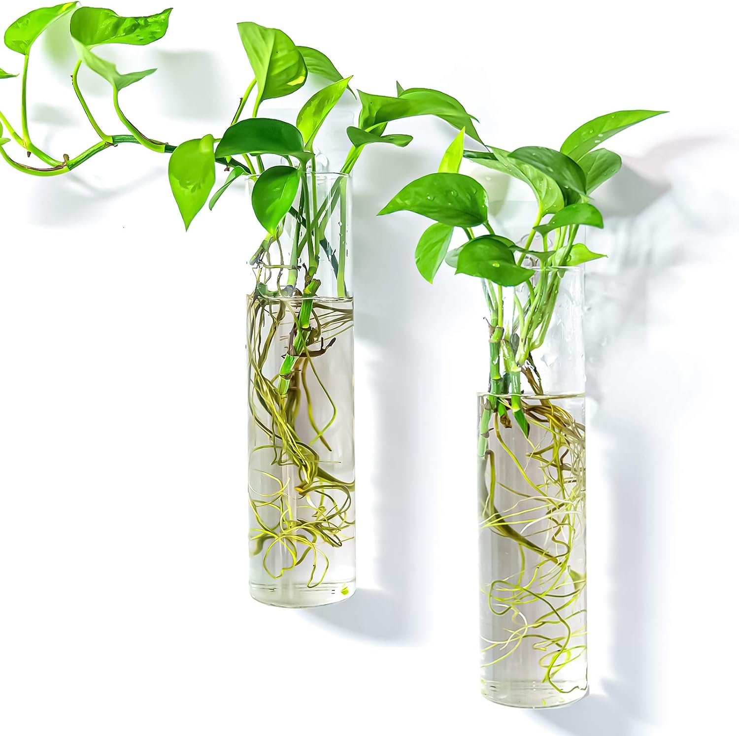 Kingbuy Wall-Mounted Plant Terrarium Propagation Station – 2 Cylinder Hanging Glass Tubes Planter for Hydroponic Plants, Indoor Wall Vases & Decorative Plant Holder Bathroom Office Living Room Decor