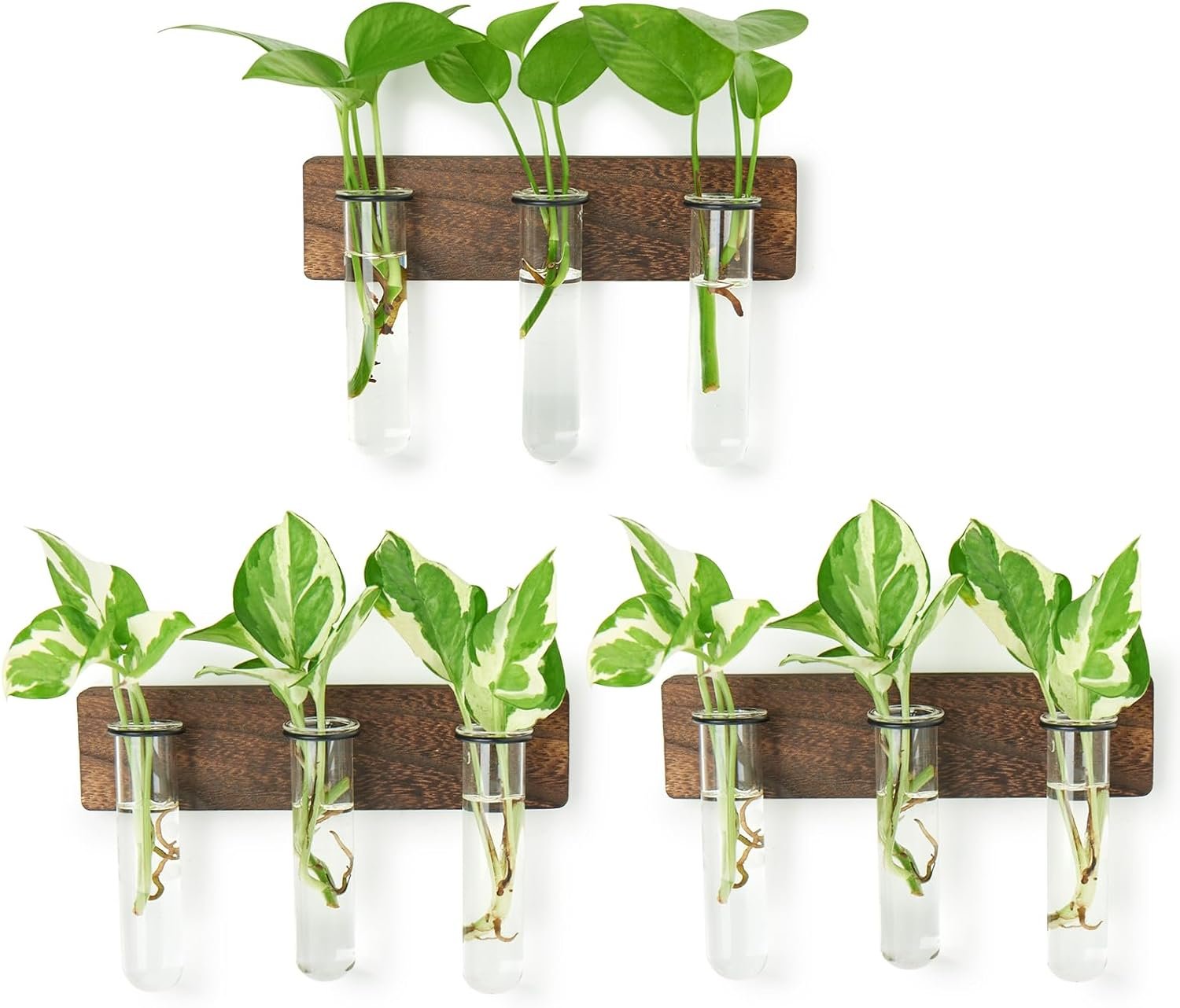 XXXFLOWER Wall Mounted Plant Terrarium with Wooden Stand 3 PCS