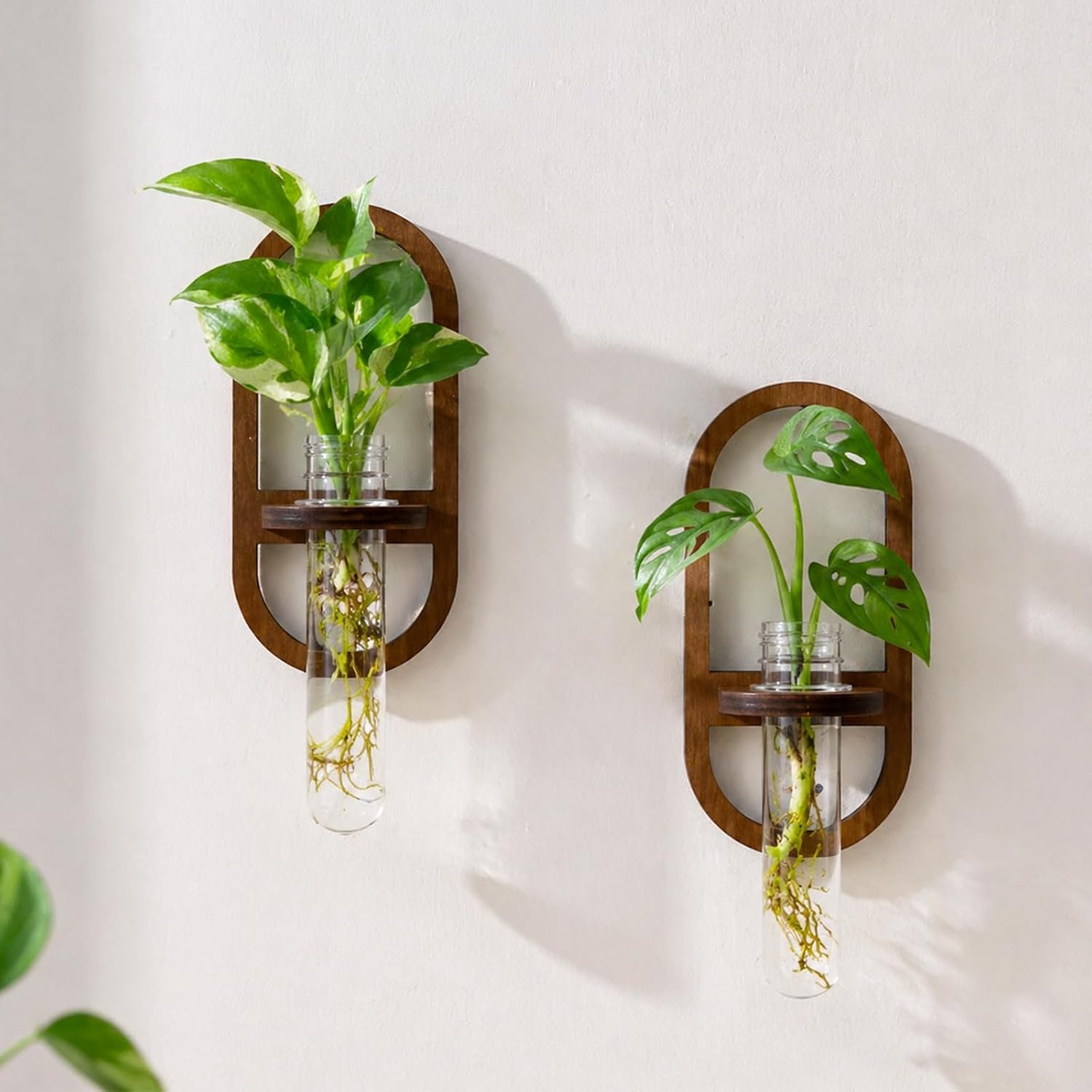 Artilady Plant Propagation Station Wall Hanging, Planter Terrariums Tube