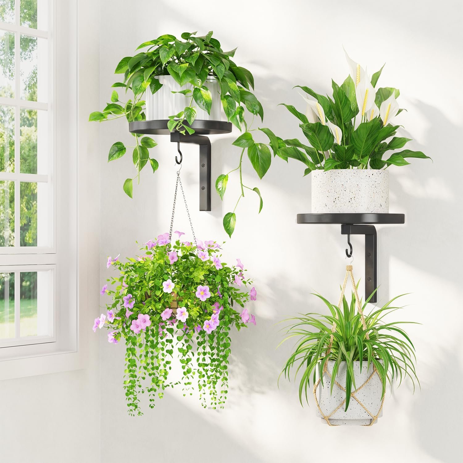 LASZOLA Plant Hanger Holder Window Shelf Wall Mounted Indoor, 2 Pcs Black