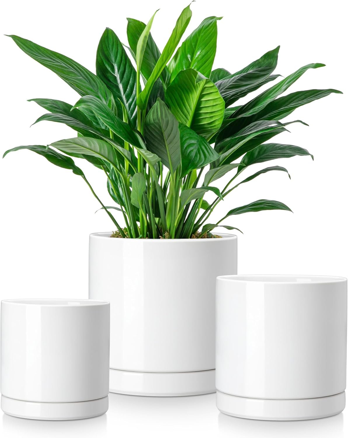 vancasso Ceramic Plant Pots, 3 Piece Planters for Indoor Plants, White