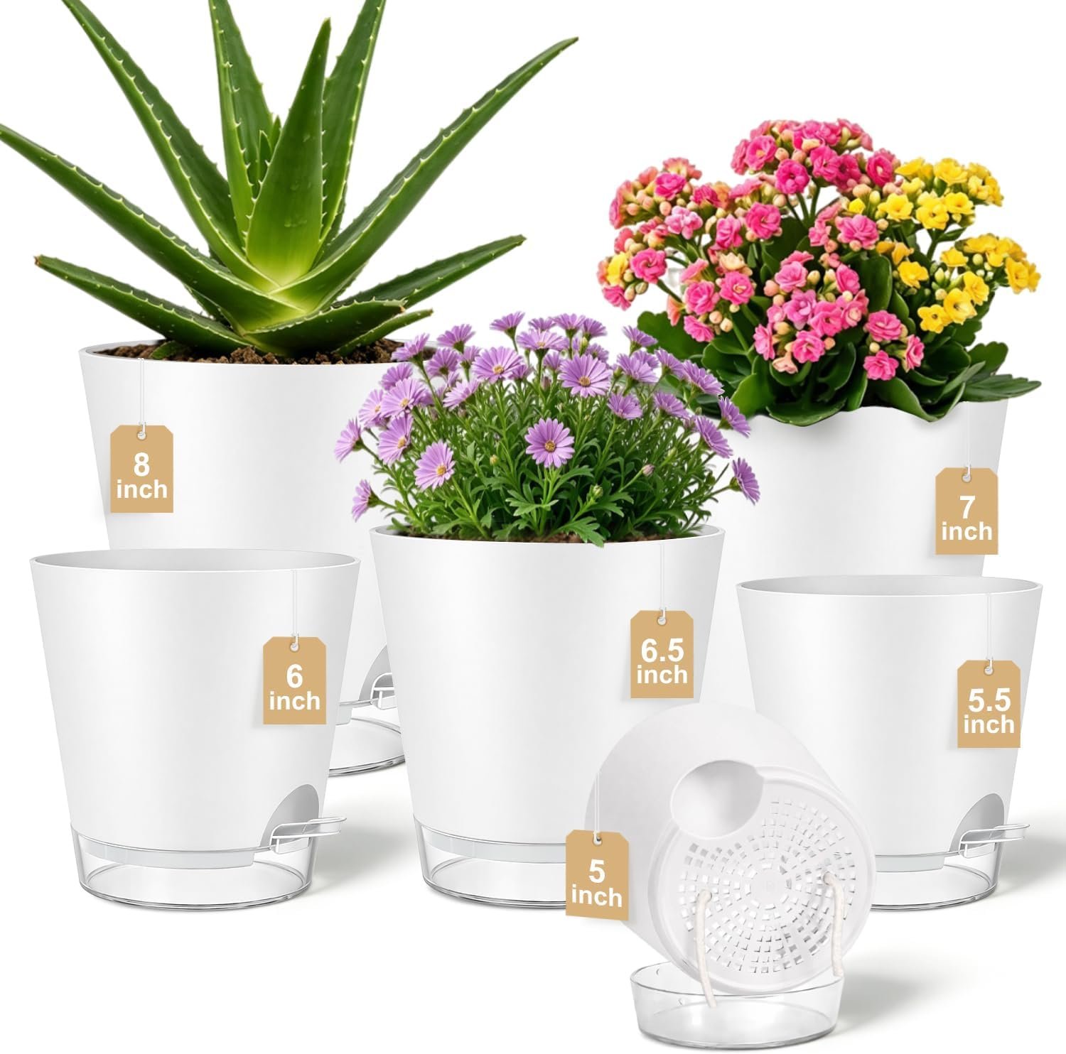 5/5.5/6/6.5/7/8 Inch Self Watering Pots Visible Water Level Indoor/Outdoor
