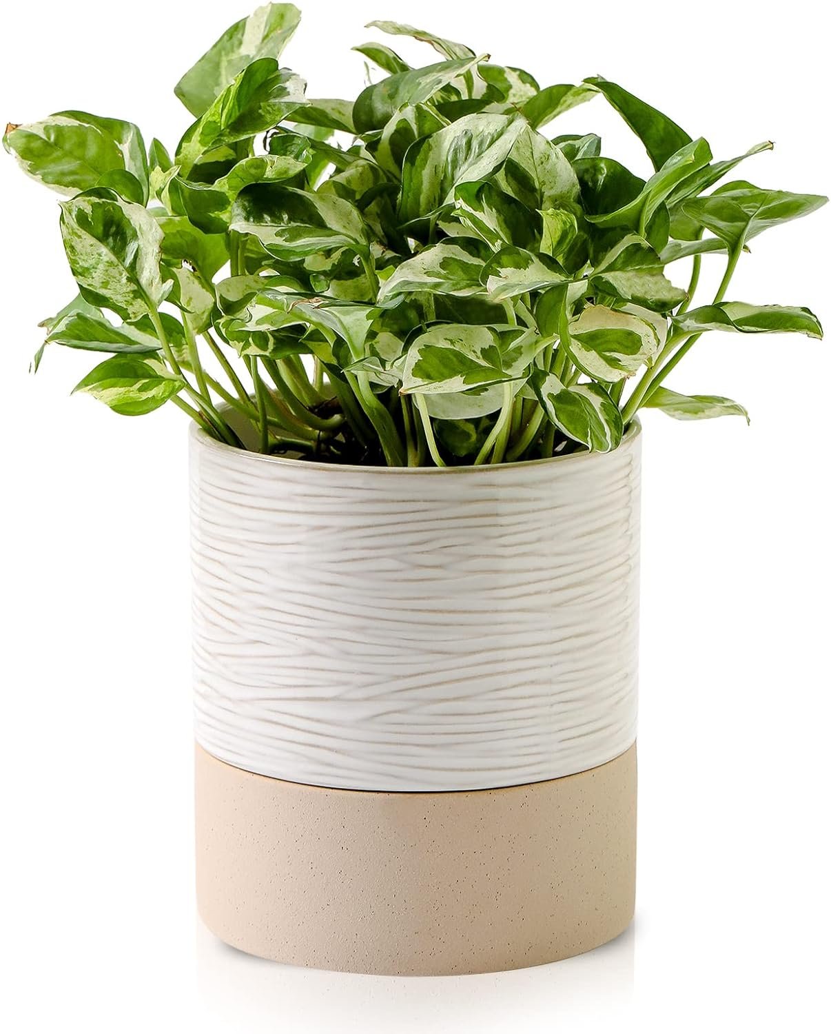 Nihow Ceramic Self Watering Plant Pot for Indoor Plants, 6 Inch,Cream White