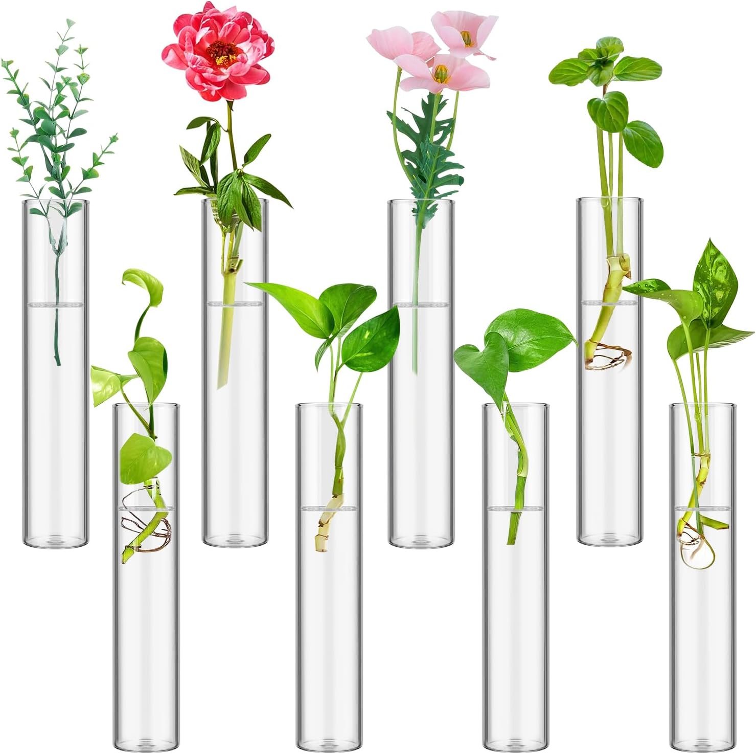 8 Tube Glass Plant Propagation Stations, Clear