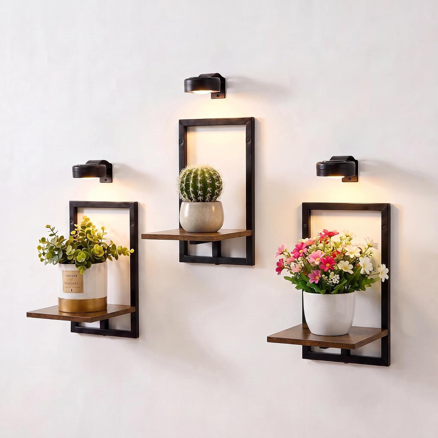 Wall Plant Holder with Grow Lights, Picture Frame Plant Shelves (3, Brown)