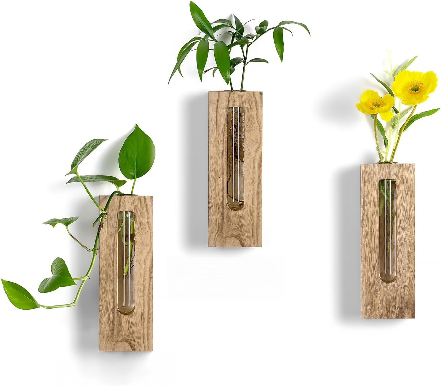 Wood Wall Vase with Glass Tube for Plant Propagation