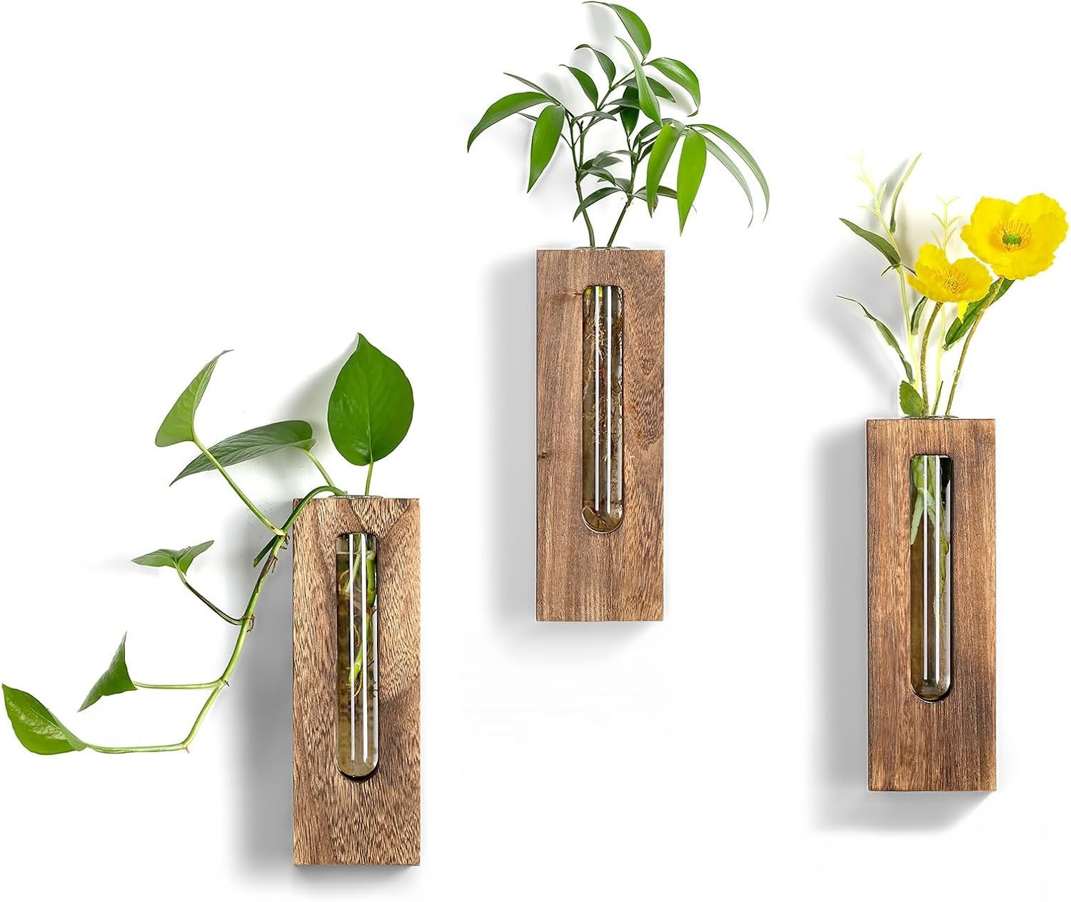 Farmhouse Wall Plant Propagation Station with Glass Tubes