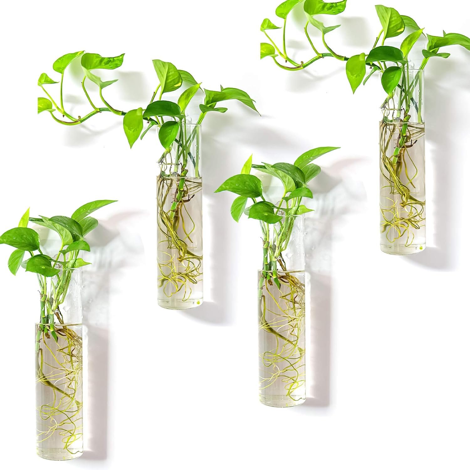 Kingbuy Wall-Mounted Plant Terrarium Propagation Station – 4 Cylinder Hanging Glass Tubes Planter for Hydroponic Plants, Indoor Wall Vases & Decorative Plant Holder Bathroom Office Living Room Decor
