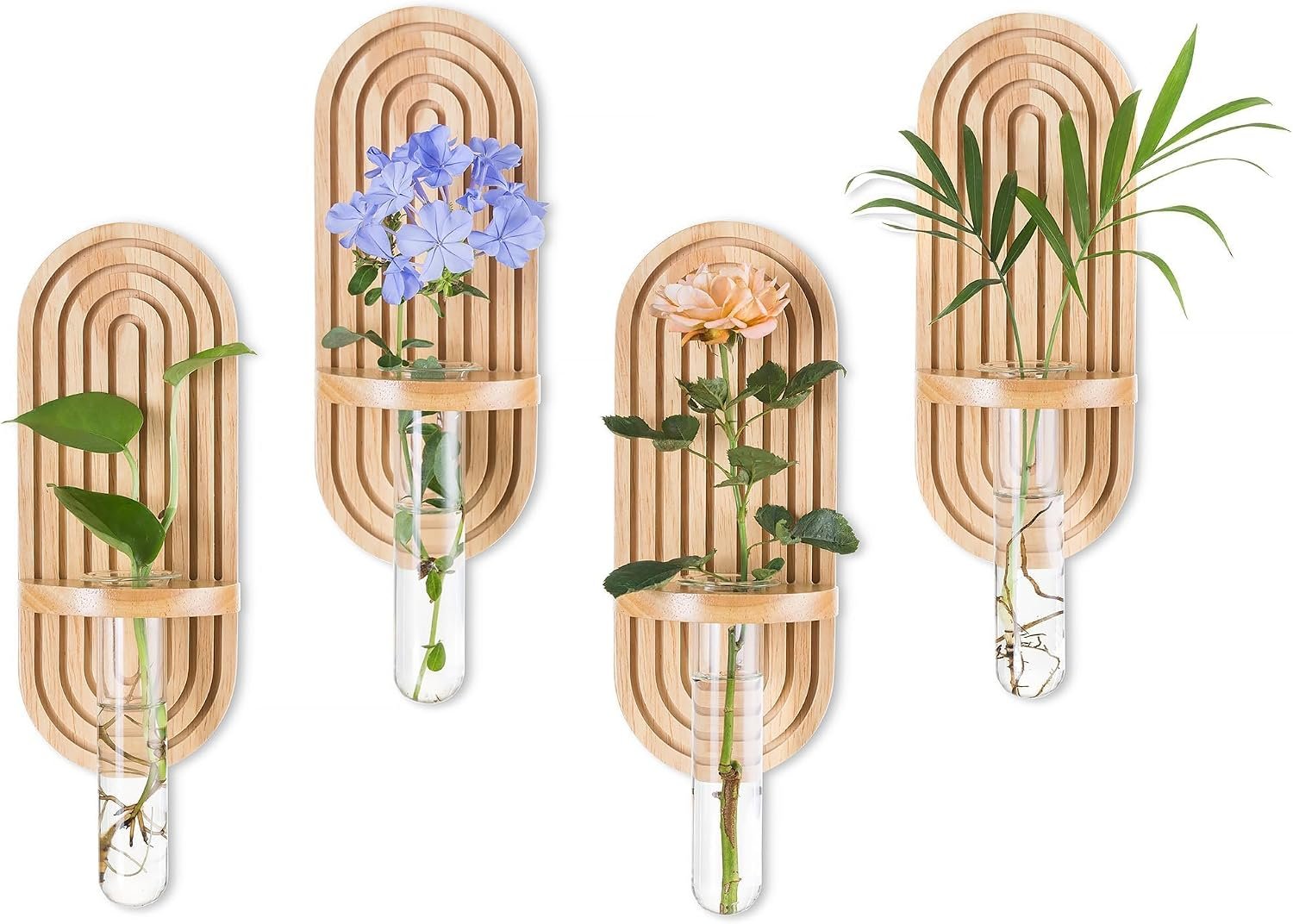 Glasseam Wall Plant Propagation Station: Hanging Glass Propagation Vases