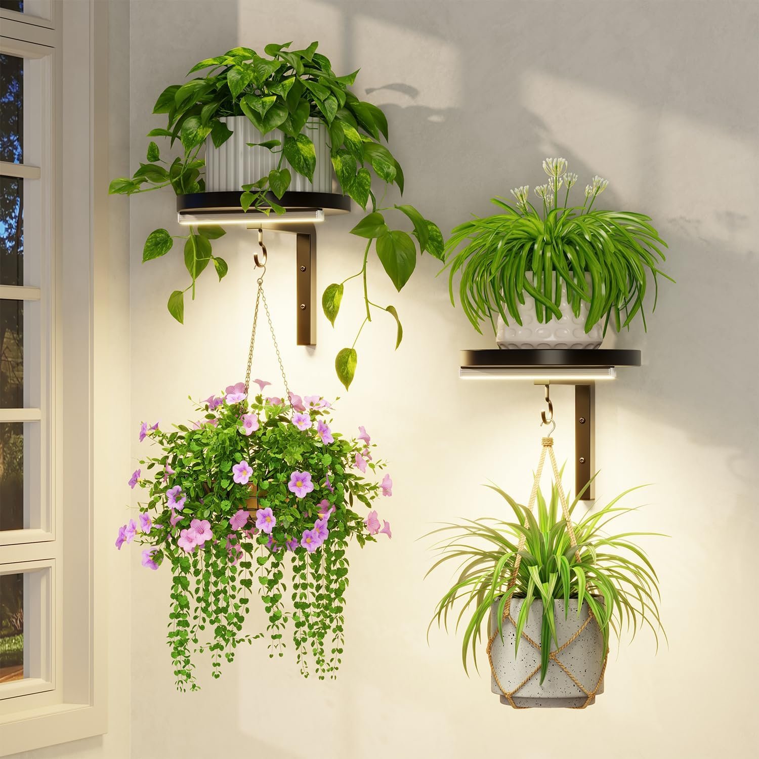 LASZOLA Plant Hanger Holder Shelf Wall Indoor with Lights, 2 Pcs Black