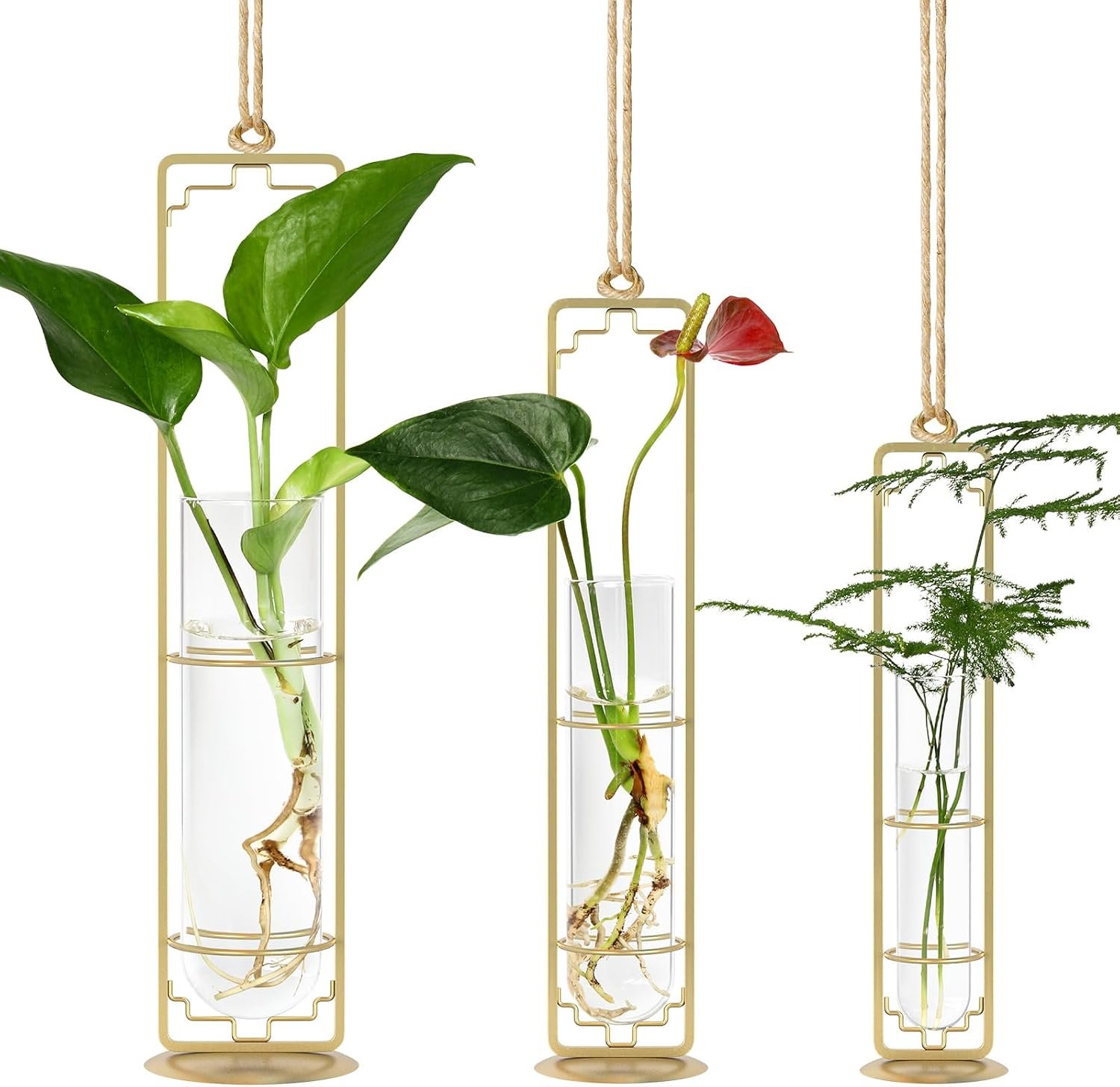 MIPON Metal Hanging Plant Propagation Station,3 Size Glass Test Tube Hydroponic Planter,Boho Wall Hanging Plant Cuttings Holder,Indoor Water Plant Terrarium Tubes for Home Office Window Decor-Gold
