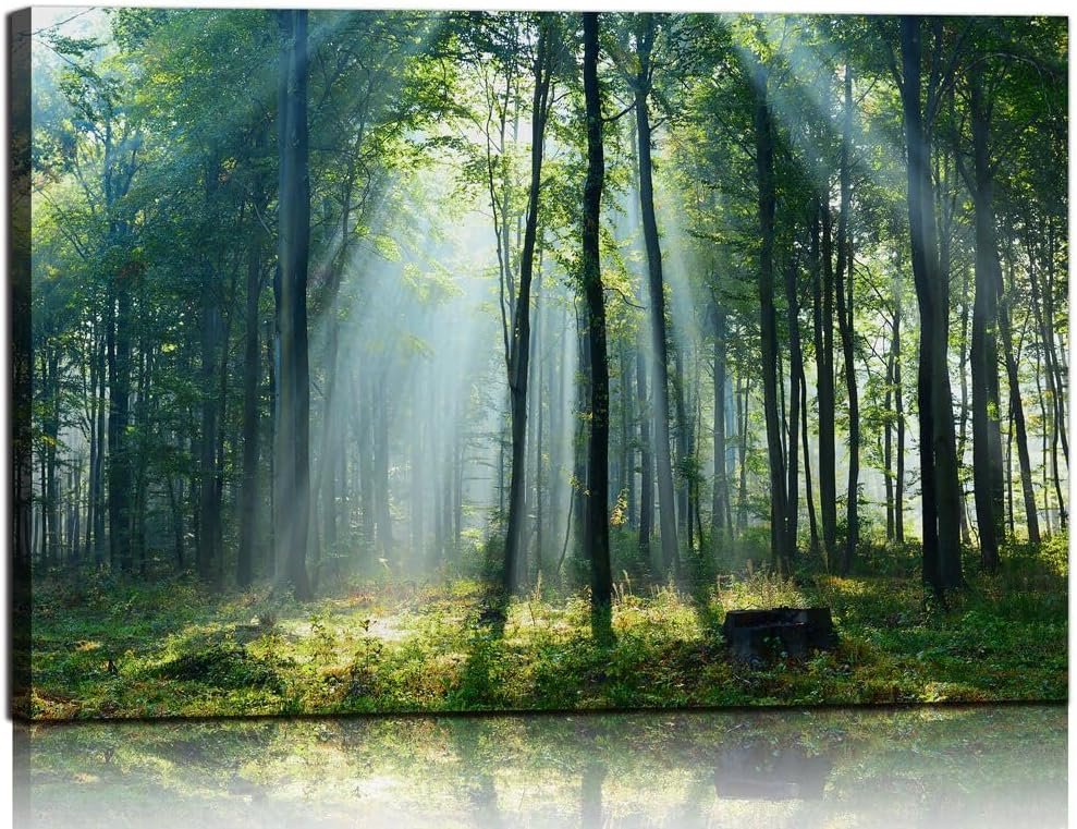 Nature Wall Art Green Forest Canvas Pictures Scenery Wall Art with Sunshine Photo Modern Tree Landscape Art Prints Decor Beautiful Mountain Artwork for Living Room Bedroom Kitchen Home Office Decorations 24x36inch