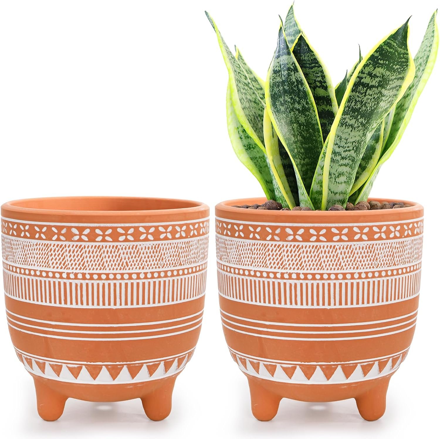 Frcctre 2 Pack Terracotta Pots, 6 Inch Succulent Clay Pottery Plant Pots Cactus Terra Cotta Flower Pot with Drainage Hole for Indoor Plants, Cactus, Succulent, Herbs