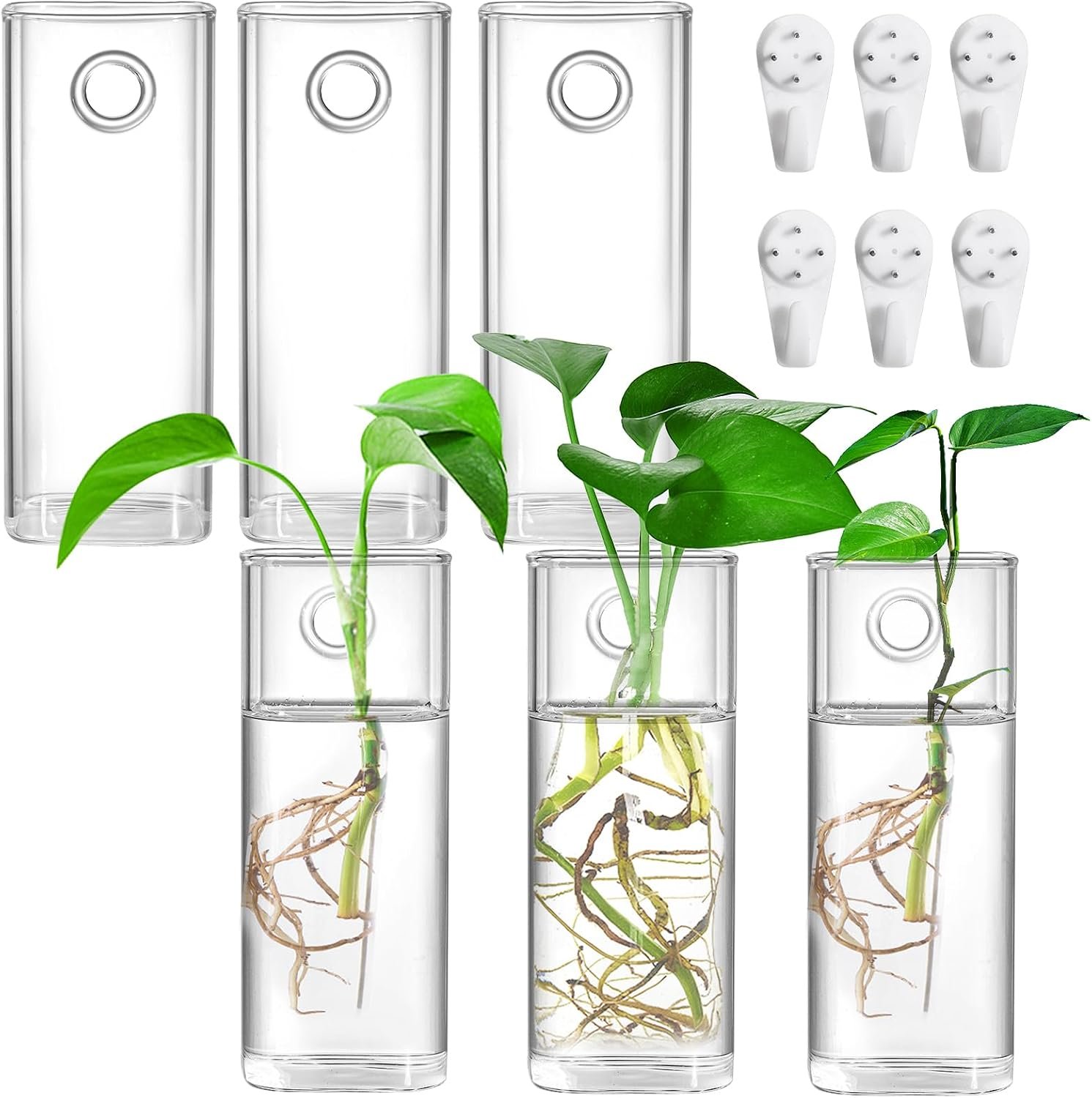 Fasmov 6 Pack Wall Hanging Glass Planters, Terrarium Holders for Air Plants, Succulents, Flowers – Square, Clear Vase Containers for Plant Display and Decoration