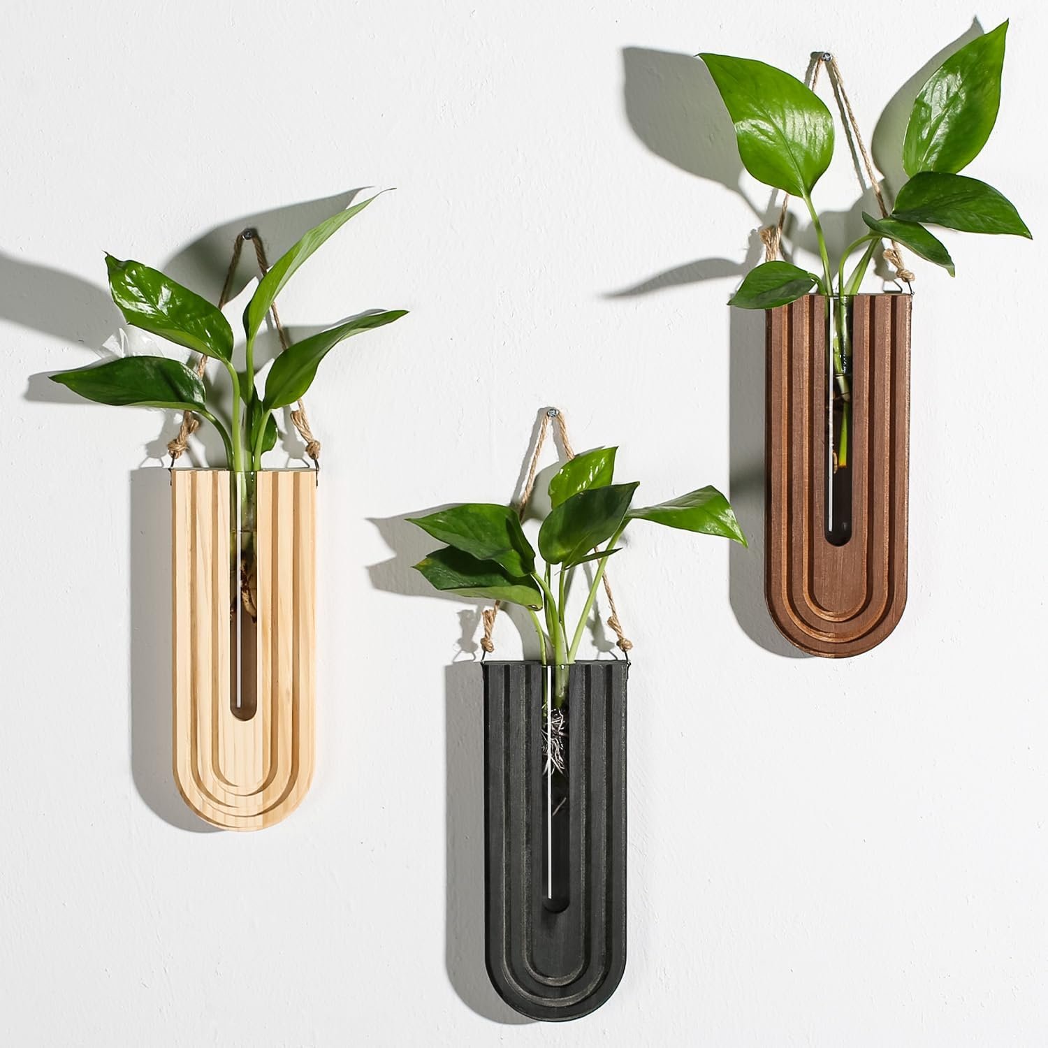 Dnnnii Indoor Wood Wall Planter Set of 3 for Plants – Boho Handmade Hanging Propagation Station with Curved Rainbow Design, Wall Mounted Vase for Flowers, Natural Home Decor Living Room Entryway