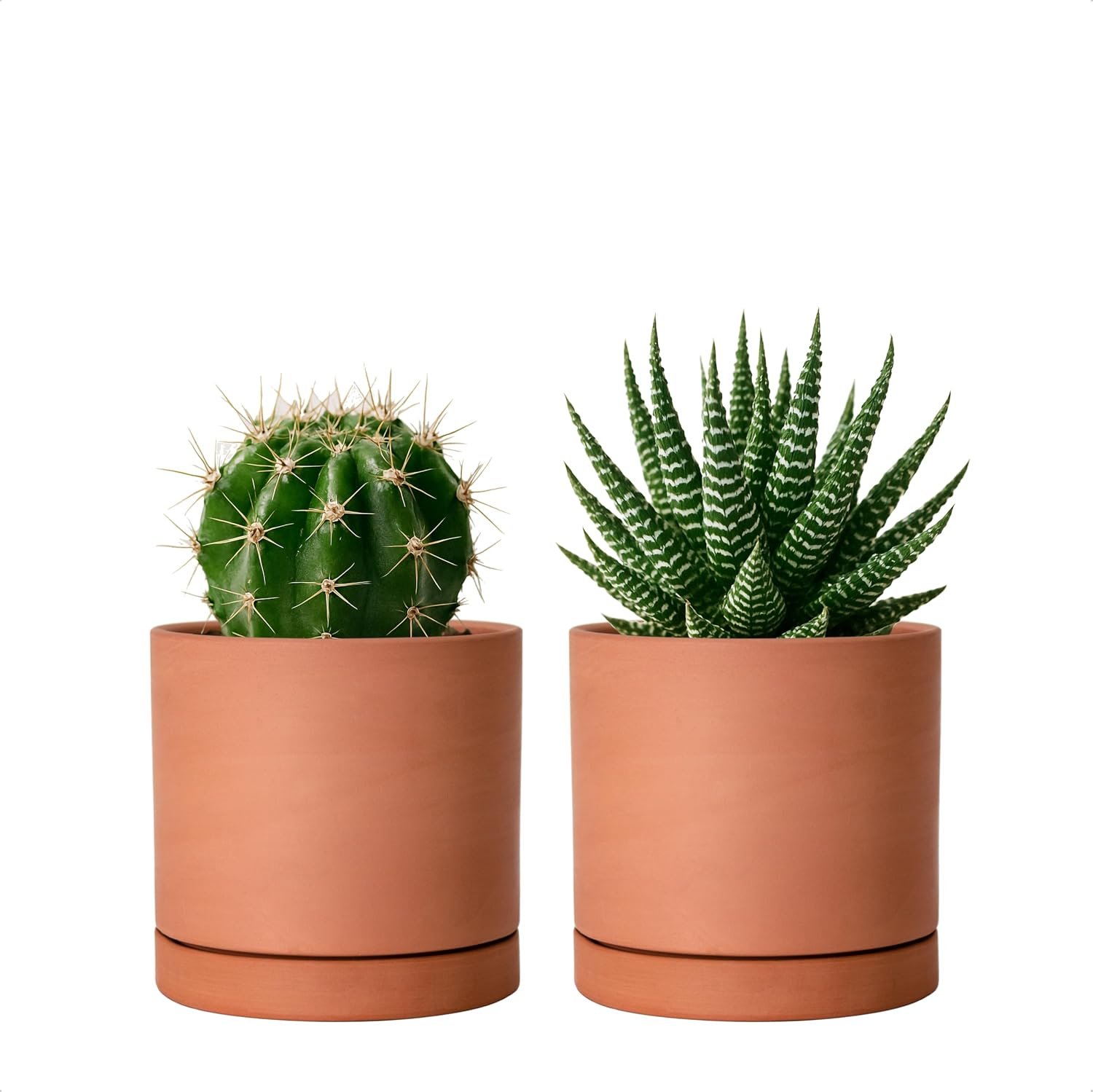 D’vine Dev 2-Pack Terracotta Plant Pots with Saucers, 4 Inch, 40-X-B-1