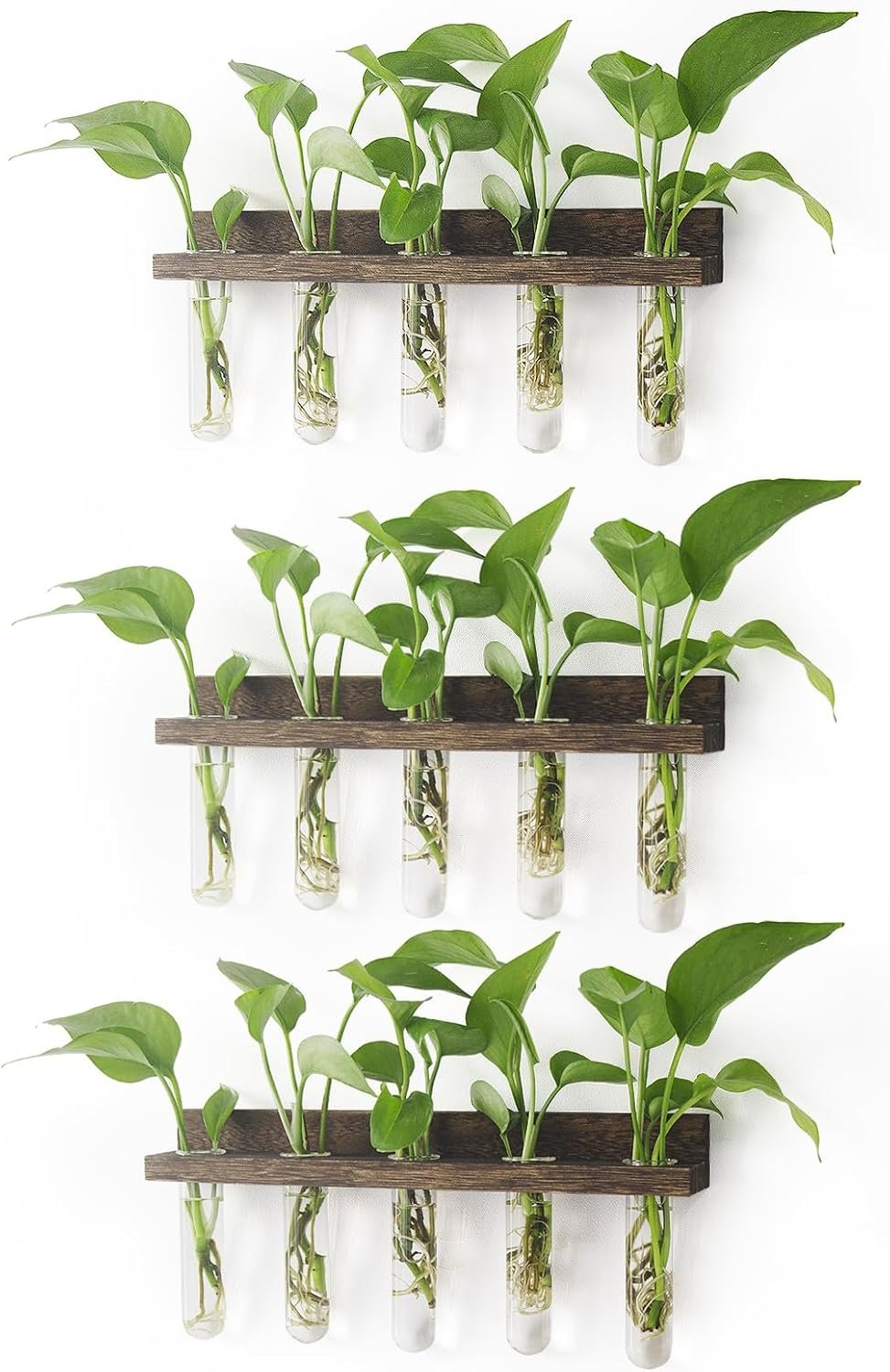 Renmxj Wall Hanging Plant Propagation Station 15 Glass Test Tubes – Brown
